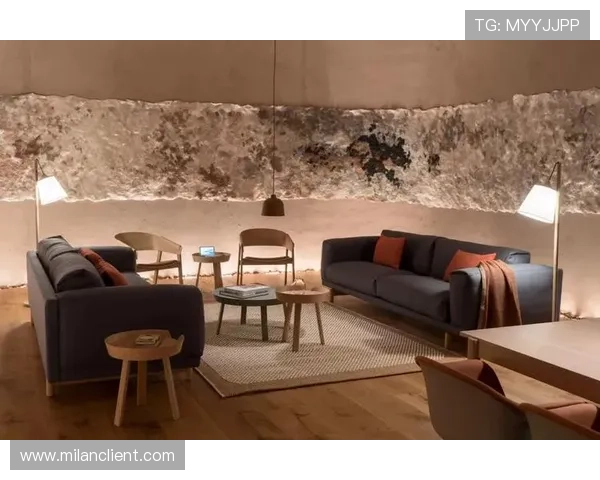 米兰会员卡在不同场合的使用场景及实用建议