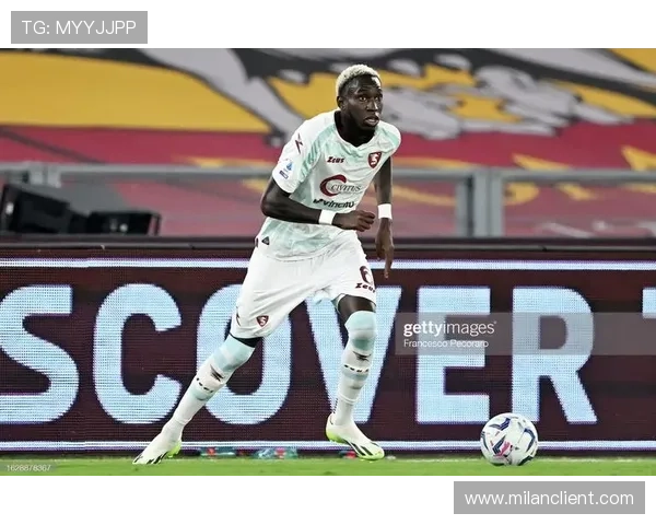 米兰体育官网萨勒尼塔纳赞助商在球队运营中的关键角色与合作优势